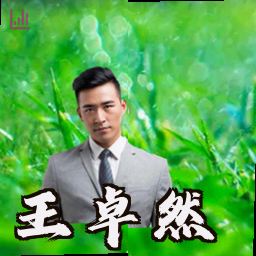 王卓然