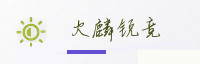 合作伙伴